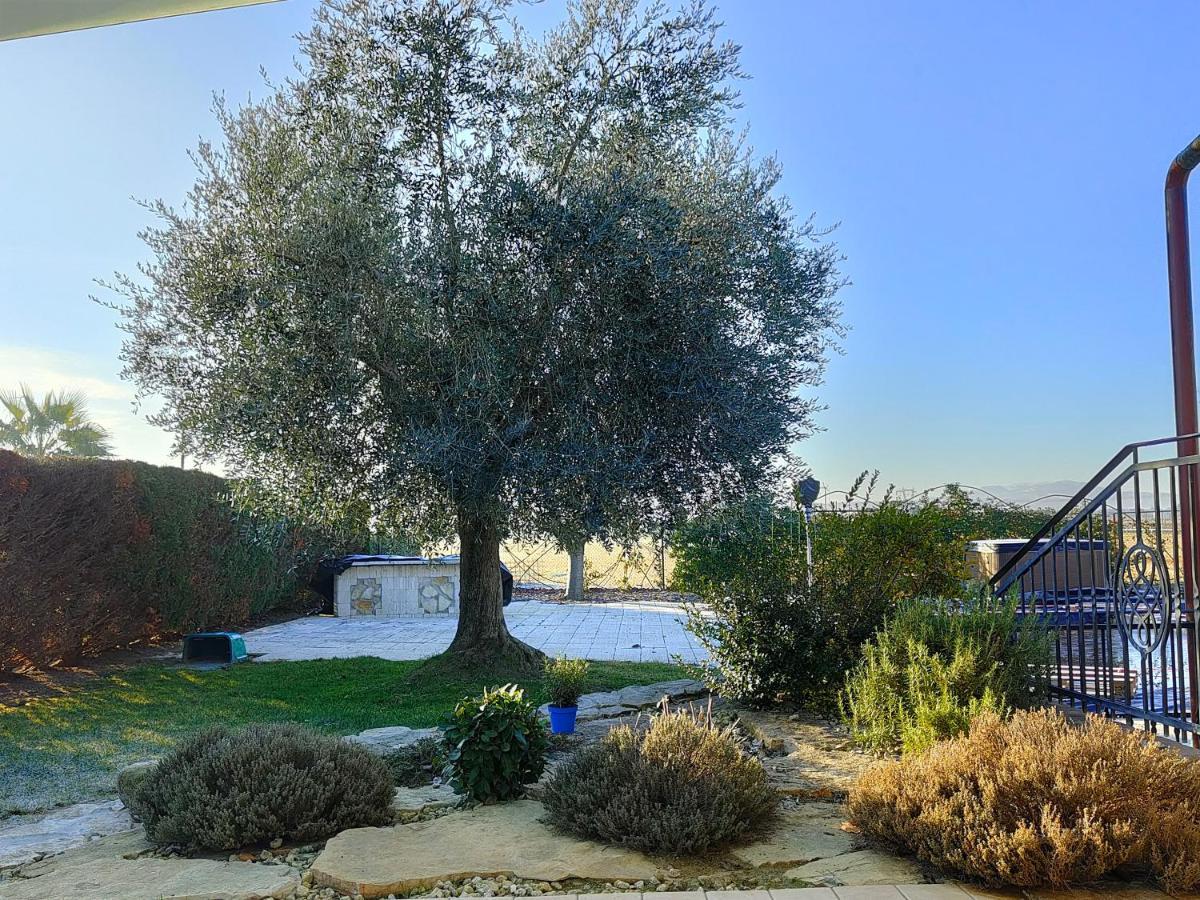 B&B Villa Letizia San Vito  Exterior photo