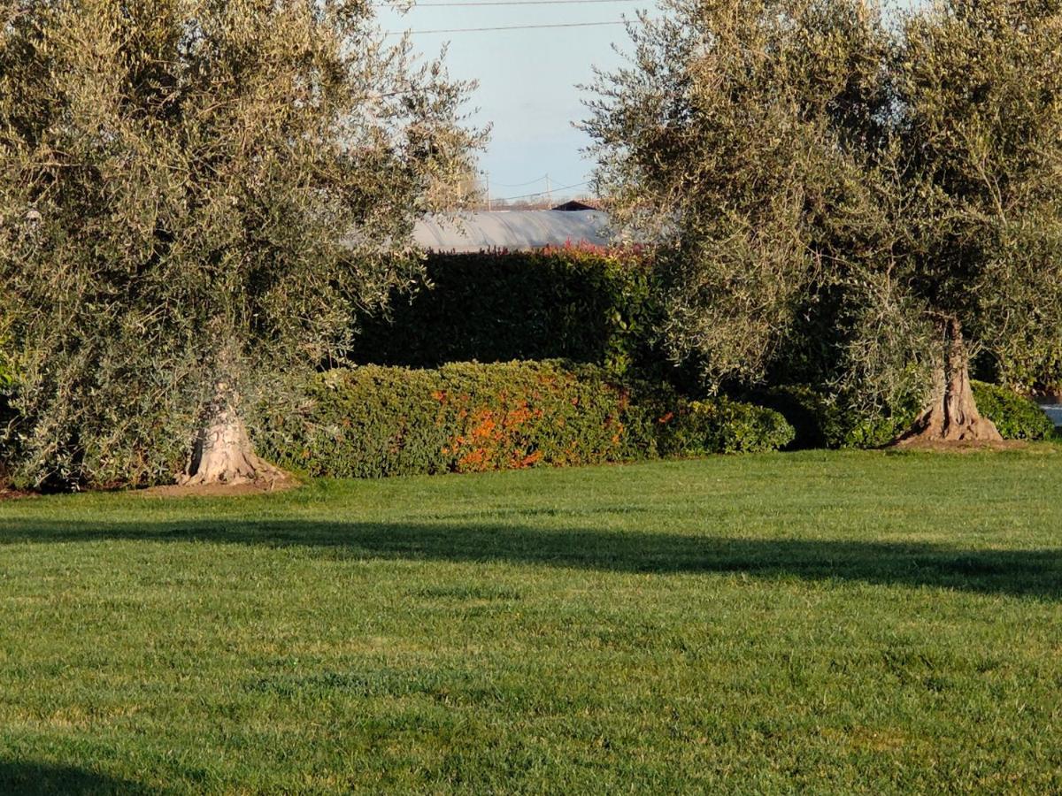B&B Villa Letizia San Vito  Exterior photo