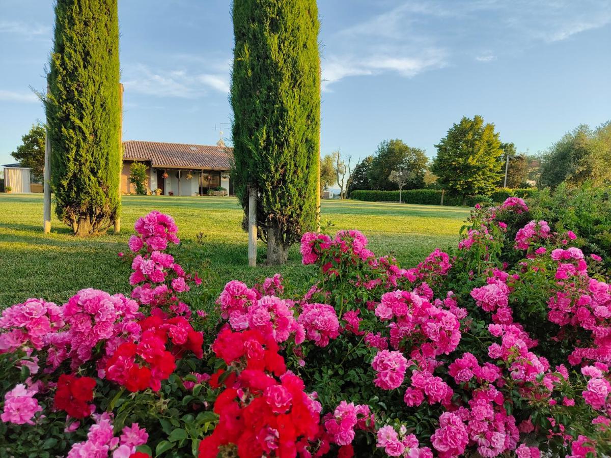 B&B Villa Letizia San Vito  Exterior photo