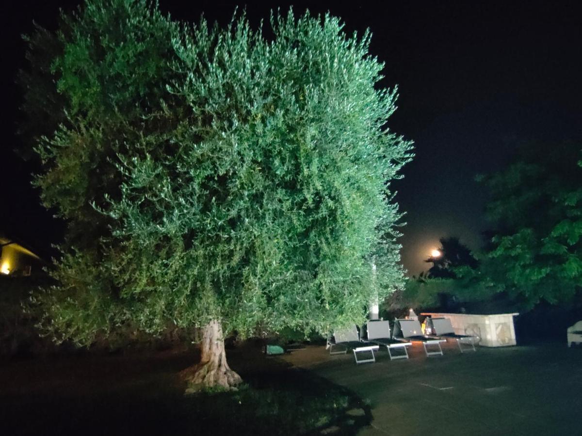 B&B Villa Letizia San Vito  Exterior photo
